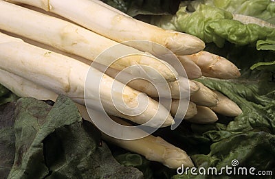 Vegetable white asparagus Stock Photo