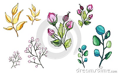 Vegetable world. Flowers and twigs. Delicate twigs of flowers Stock Photo