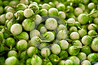 Vegetables Background. Thai Eggplants ( Cockroach Berry).Thailand. Nutrition. Food Ingredient. Stock Photo