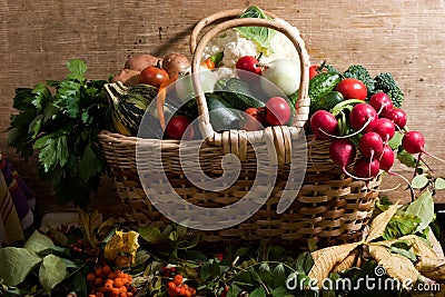 Vegetables in the basket Stock Photo