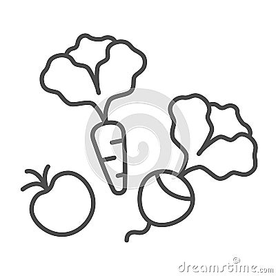 Vegetables, beetroot, carrot and tomato thin line icon, gardening concept, veggies vector sign on white background Vector Illustration