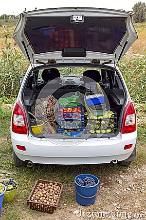 Vegetables in boxes and bags loaded in the trunk of a car Stock Photo