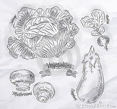 Vegetables cabbage, eggplant, radishes, mushrooms Vector Illustration