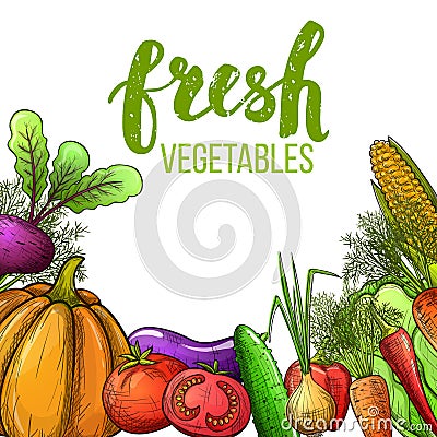 Vegetables colorful sketch Vector Illustration