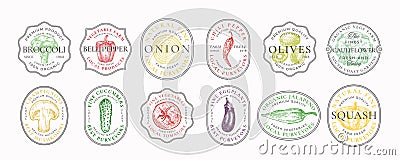 Vegetables Frame Badges Logo Templates Collection. Hand Drawn Vegetable Sketch with Retro Typography in a Vintage Frames Vector Illustration