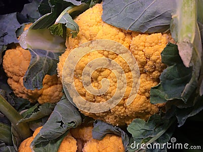 Vegetables. Fresh raw colourful cauliflower. Stock Photo