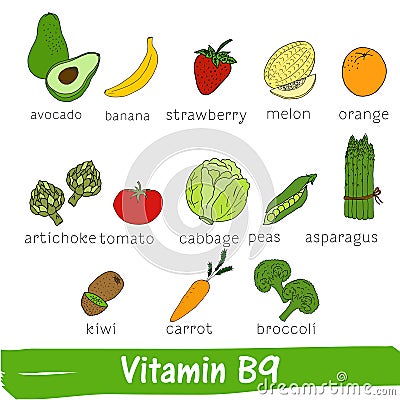 Vegetables and fruits with a high content of vitamin B9. Hand drawn vector vitamin set Stock Photo