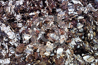 Crushed coconut shell for manufacture of pinibricket Stock Photo