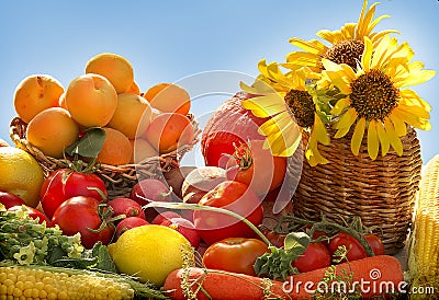 Vegetables and fruits Stock Photo