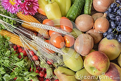 Vegetables fruits Stock Photo