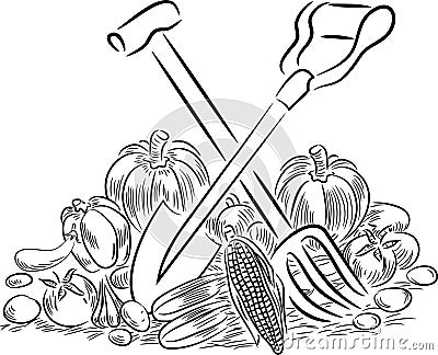 Vegetables and gardening tools Vector Illustration