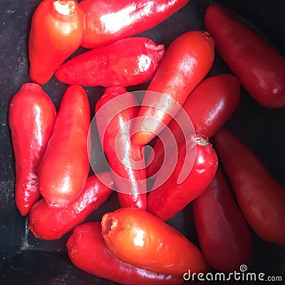 Vegetables, good Food, hot pepper Stock Photo