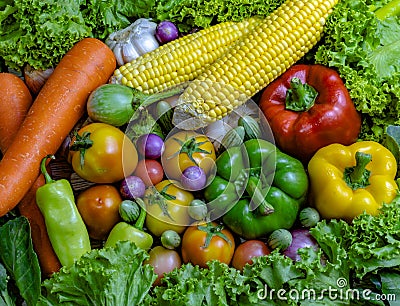 Vegetables are good for health Stock Photo