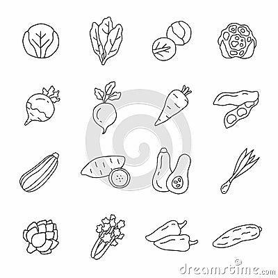 Vegetables hand drawn vector icon set Vector Illustration