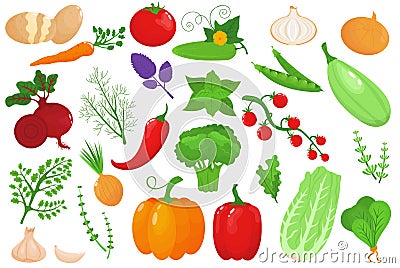 Vegetables, healthy food set, isolated on white, vector illustration. Pepper, cucumber, tomato and organic carrot, fresh Vector Illustration