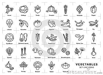 Vegetables icons , Spices logo. Trendy thin line art style Vector Illustration