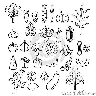 Vegetables icons. Vector Illustration. Vector Illustration