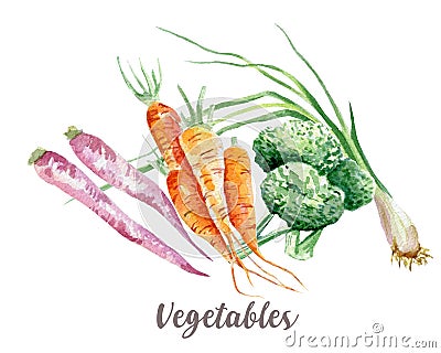 Vegetables illustration. Hand drawn watercolor on white background. Cartoon Illustration