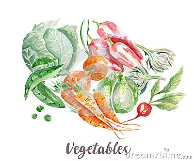 Vegetables illustration. Hand drawn watercolor on white background. Cartoon Illustration