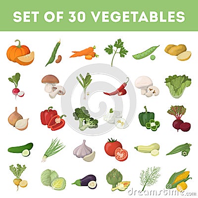 Vegetables illustration set. Vector Illustration