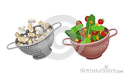 Vegetables in kitchen colander set. Strainers full of fresh tomato, lettuce and champignon mushrooms. Healthy organic Vector Illustration