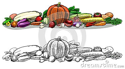 Vegetables. A large crop of vegetables: potatoes, onions, garlic, carrots, cucumber, eggplant, beets, peppers, corn. Stock Photo