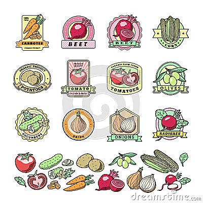 Vegetables logo vector healthy vegetably logotype tomato and carrot for vegetarians organic food in grocery shop Vector Illustration