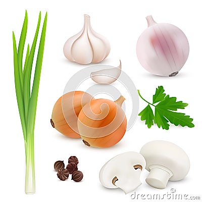 Vegetables realistic composition on white background with onions, garlic, mushrooms, parsley. Vector image Vector Illustration