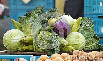 Vegetables for sale at the Naplavka farmers market in Prague Stock Photo