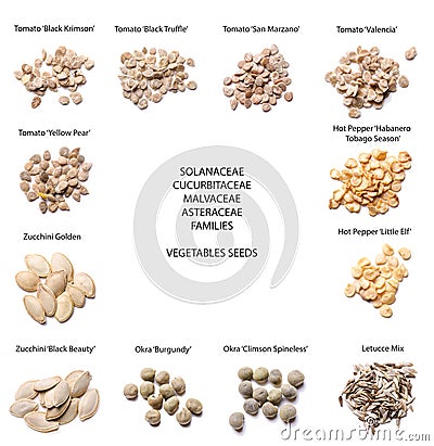 Vegetables seeds- different varieties Stock Photo