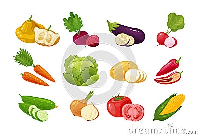 Vegetables, set of colored icons. Green vegetable, garden stuff concept. Vector illustration Vector Illustration