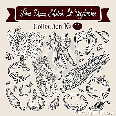 Vegetables sketch. set of elements - beet, peas Vector Illustration