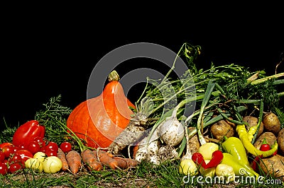 Vegetables still life Stock Photo