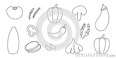 vegetables vitamins doodle line garden elements set Vector Illustration