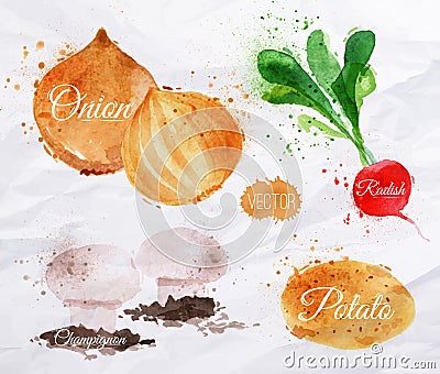 Vegetables watercolor radishes, onions, potatoes, Vector Illustration