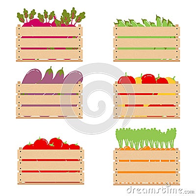 Vegetables in a wooden box. Wooden boxes containing veggies for a healthy diet, good nutrition. Vector Illustration