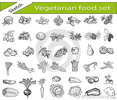 Vegetarian food Vector Illustration