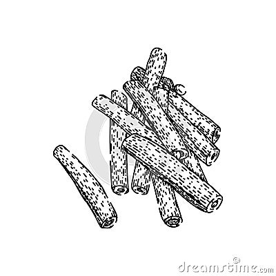 vegetarian geen beans sketch hand drawn vector Vector Illustration