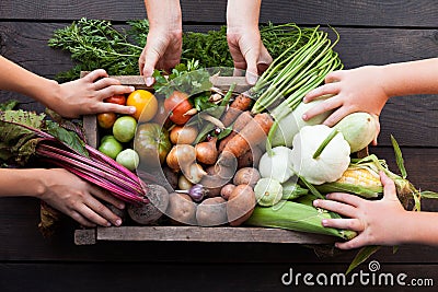 Vegetarian organic food. Assorted fresh vitamin vegetables Stock Photo