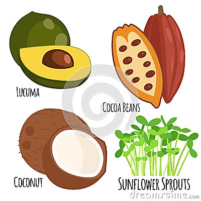 Vegetarian superfood healthy vegetable eco food fresh organic traditional gourmet nutrition vector illustration. Vector Illustration