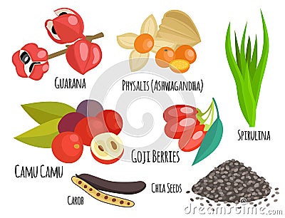 Vegetarian superfood healthy vegetable eco food fresh organic traditional gourmet nutrition vector illustration. Vector Illustration