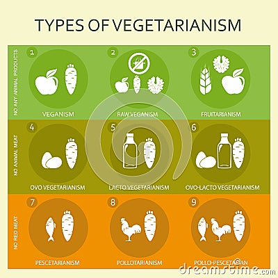 Vegetarian types infographic Vector Illustration
