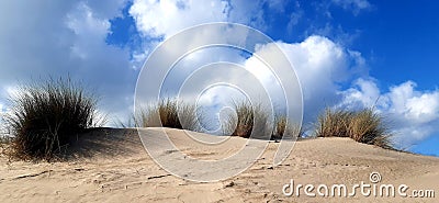 Vegetated dune with a cloudy sky. Stock Photo