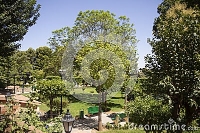 The vegetation of Ain Asserdoun which is a freshwater spring and fountain of the city of Beni Mellal, Morocco Stock Photo