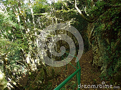 Vegetation and ambience in the area of Butori waterfall and abyss, Sterna - Istria, Croatia Stock Photo