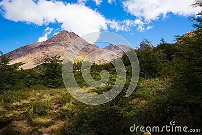 Vegetation on Andes foothills and slopes Stock Photo