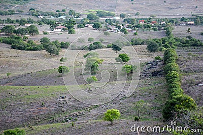 Vegetation of the Brazilian northeast semi-arid illuminated with the warm colors of the sunset Stock Photo