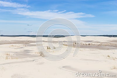 Vegetation on the dunes at Lagoa do Peixe National Park Stock Photo