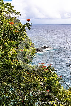 Vegetation on the Maui coast, Hawaii Stock Photo