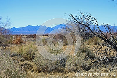 Mountains and desert in western Nevada Stock Photo